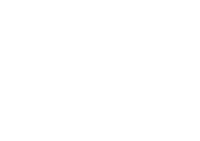 Nelekat Institute